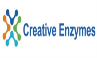 Enzyme blend for modifying insoluble milk proteins