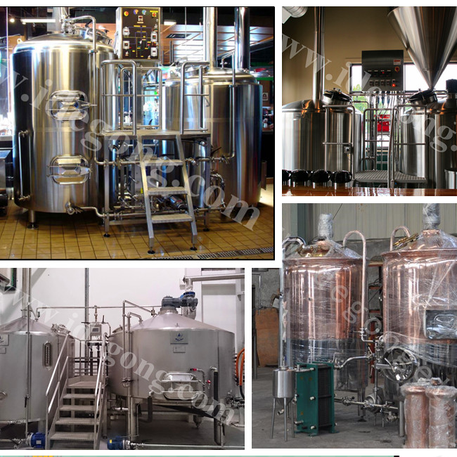 500L China beer brewery equipment for commercial used