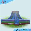 Rental Gaint Inflatable Double Slip / Purple Extrior Adult Inflatable Slide