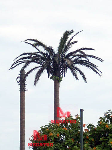 Coconut tree tower