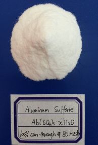 Coating on Titanium Dioxide