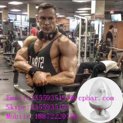 Androsta-1,4-diene-3,17-dione (Steroids)  