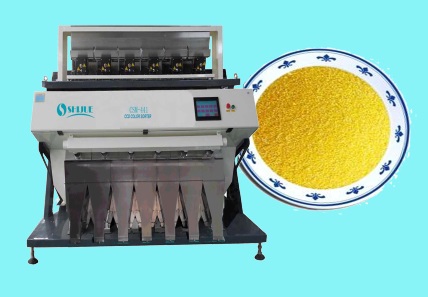 yellow rice color sorter with factory price 