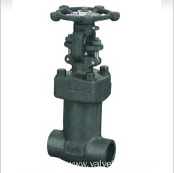 Forged Steel bellow sealed Valve