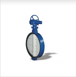 Worm wafer soft seal butterfly valve