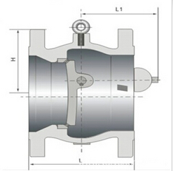 Non-Slam Check Valve