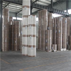 PE Coated Paper In Roll