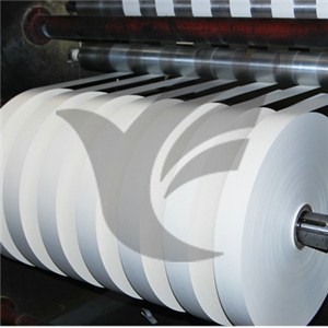 PE Coated Cup Bottom Paper