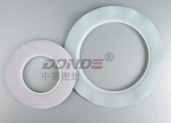 PTFE ENVELOPEN GASKET