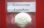 Muscle Strength Testosterone Enanthate Anabolic Raw Steroids Powder Primoteston Depot
