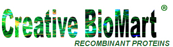 Recombinant Mouse Adipoq, His tagged