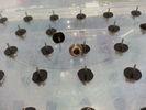 SMT Nozzle N610017373AD CM/NPM Nozzle for CM602 120S# nozzle