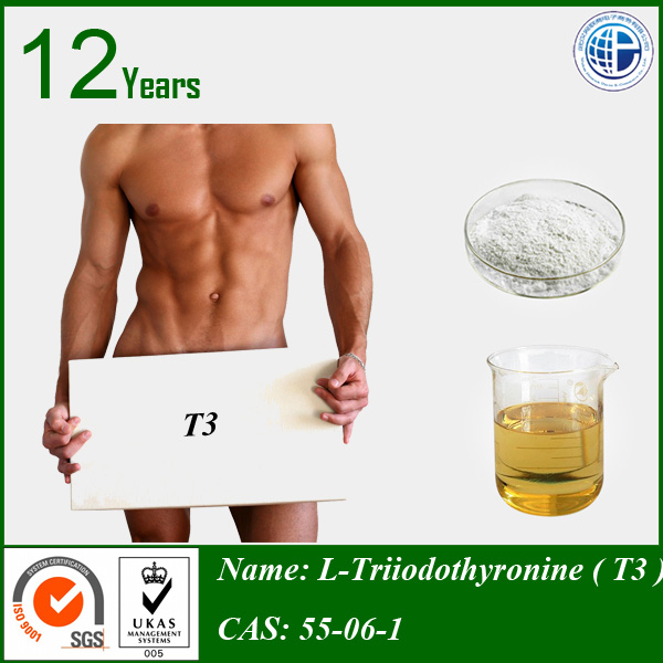 99% high purity L-Triiodothyronine for muscle gain