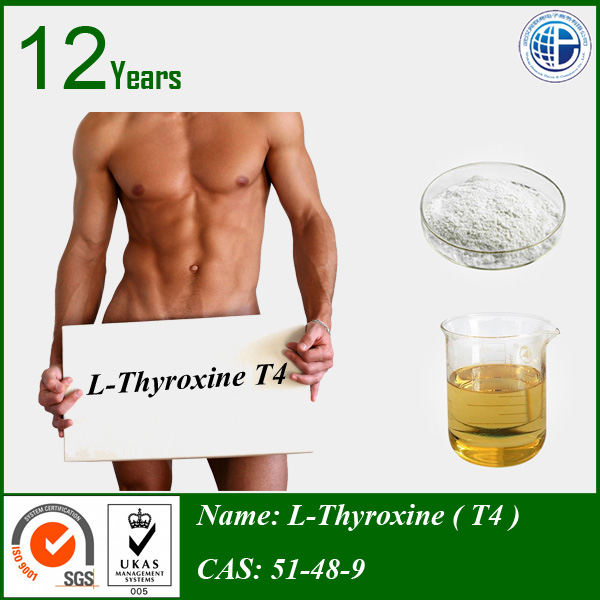 99% high purity L-Thyroxine T4 for muscle gain