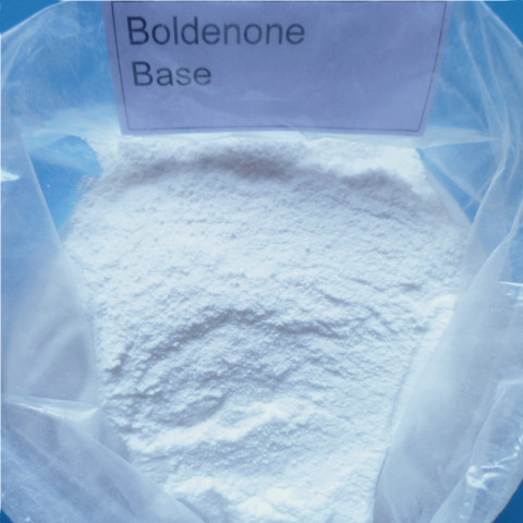 99% high purity Boldenone for muscle gain