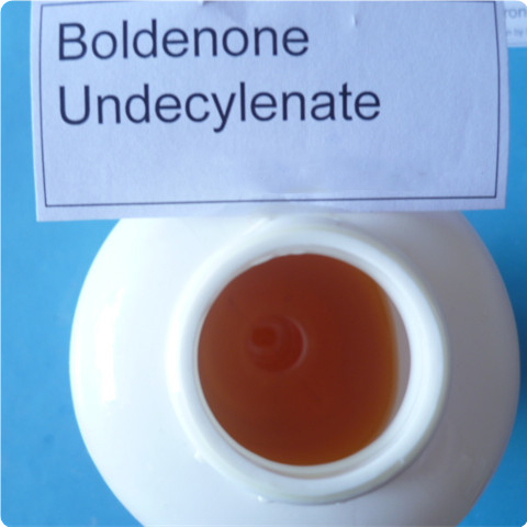 99% high purity Boldenone Undecylenate for muscle gain