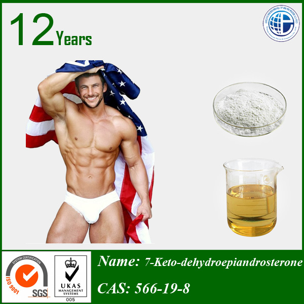 99% high purity 7-Keto-dehydroepiandrosterone for muscle gain