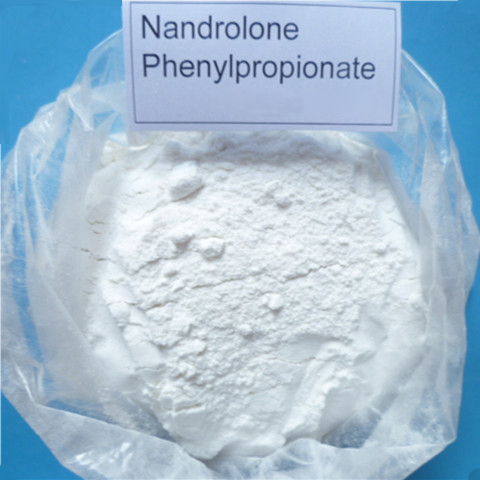 99% high purity Nandrolone Phenylpropionate for muscle gain