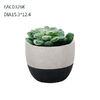 Black Succulents Concrete Plant Pots Outdoor Decoration Mixed colors