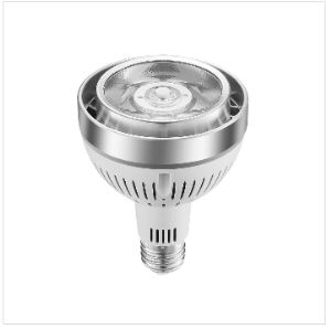 par30 led short neck Par30 LED