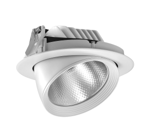 Trunk Cob LED Downlight