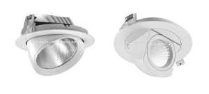Adjustable Cob LED Trunk Ceiling Light