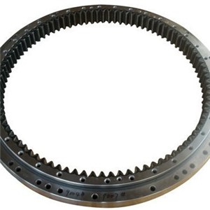 Slewing Ring