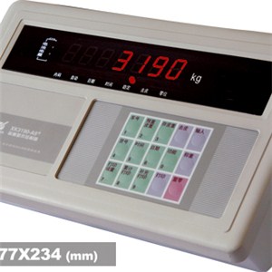 A9 Weighing Indicator