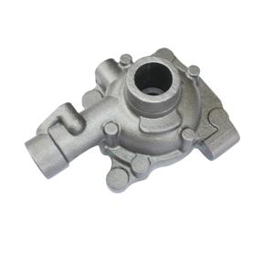 Pump Casting