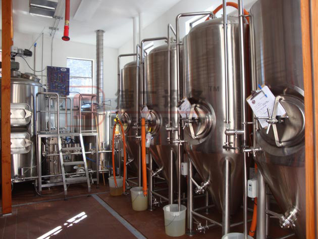 Craft beer brewing system for sale