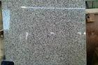 Natural G640 bianco sardo Granite Stone Slabs grey rustenburg Indoor Outdoor Project