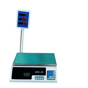 40kg Scale TS-789