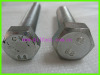 Stainless Steel Hexagon Head Bolt DIN933