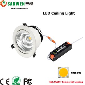 Ceiling LED Light