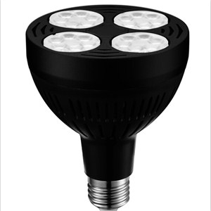 Spot Light LED