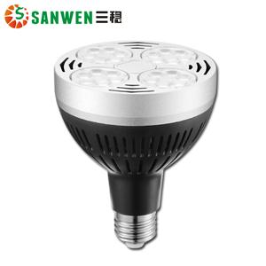 LED Par Lamp