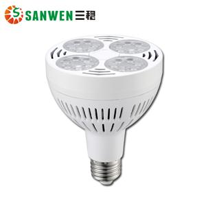 LED Par Light