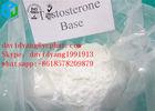 Original Hormone Steroid Testosterone Base 58-22-0 For Bodybuilding