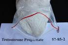 Testosterone Propionate 57-85-2 Natural Legal Muscle Building Steroids Powder for Men