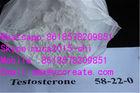99%Min Purity white crystalline Steroids  Testosterones Base / 58-22-0 for Bodybuilding