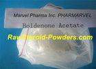 Muscle Growth Steroids Raw Boldenone Steroid Acetate CAS 2363-59-9