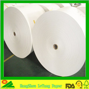 PE Coated Paper Roll