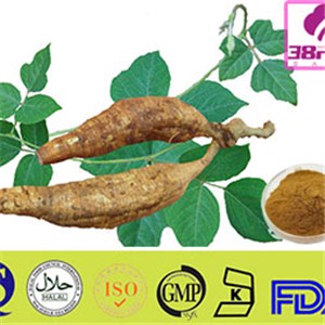 Pueraria Root P.E