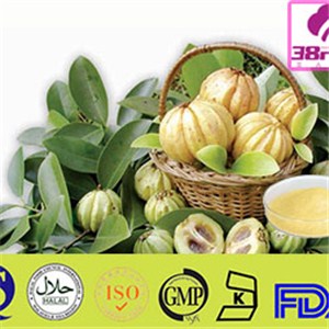 Garcinia Cambogia