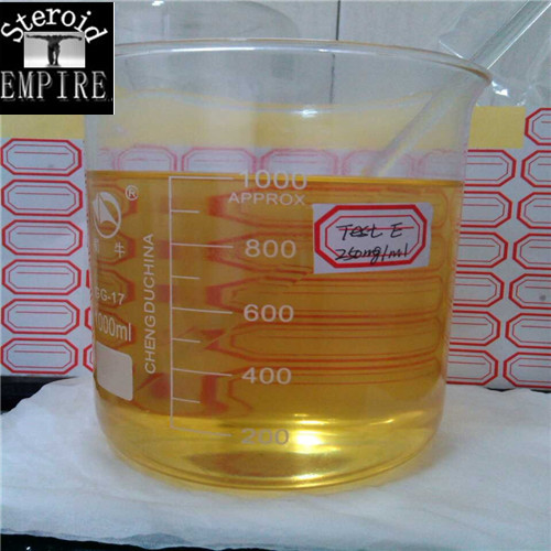 98% Testosterone Enanthate 315-37-7 steroid powder/oil base