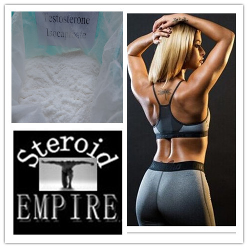Testosterone Isocaproate bodybuilding raw material powder 