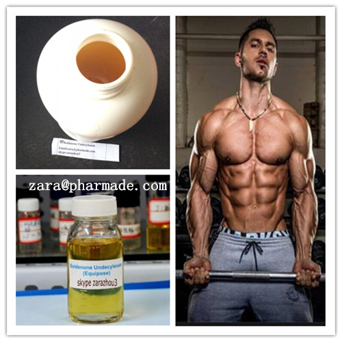 buy Boldenone Undecylenate steroid Raw powder supplier
