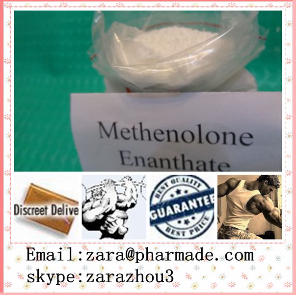 Methenolone Enanthate Primobolan-depot Primobolan powder