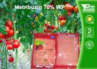 Pre Emergence Herbicides For Potatoes , Tomatoes , Sugar Cane , Alfalfa