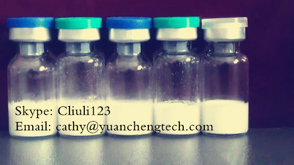 Pharmaceutical Raw Procaine Powder 99%min Procaine hydrochloride  CAS 51-05-8 Procaine HCl Procaine hydrochloride